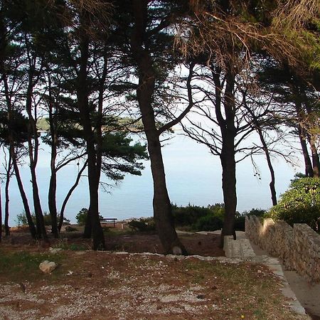 Apartments Matkov - Quite And Peaceful Location Jelsa  Dış mekan fotoğraf