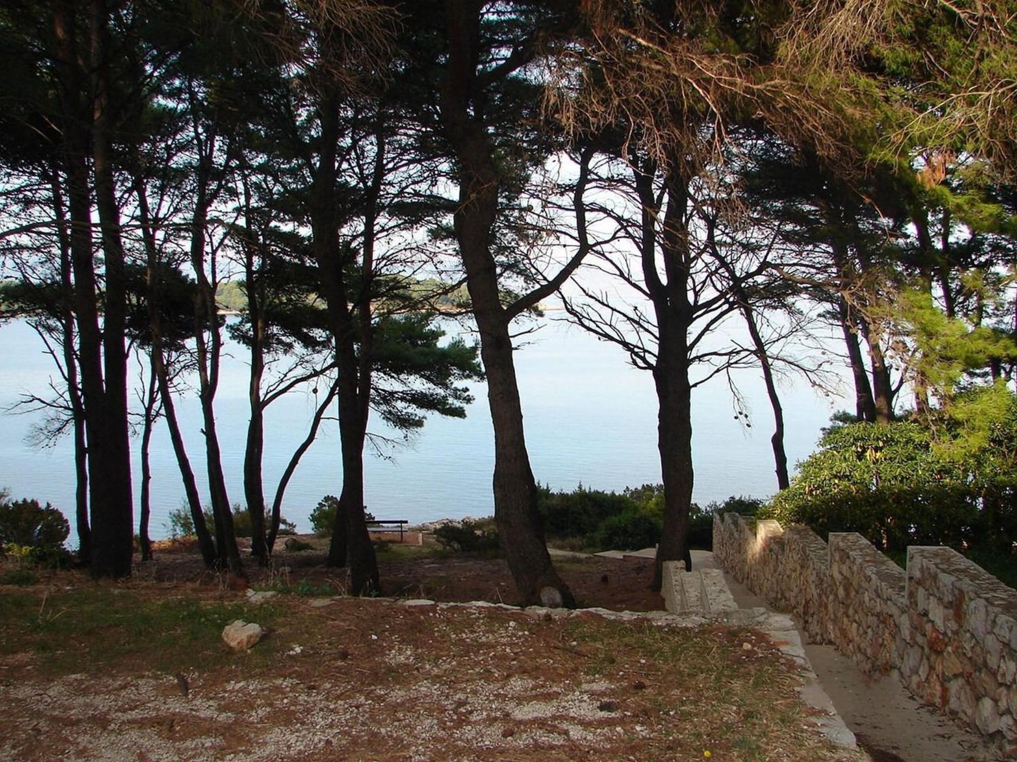 Apartments Matkov - Quite And Peaceful Location Jelsa  Dış mekan fotoğraf